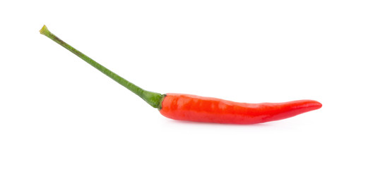 Red chili pepper on white background