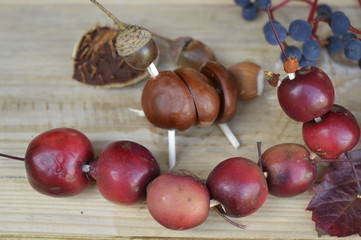 Do it yourself: animals with chestnuts and acorns
