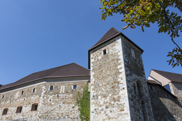 Fototapeta na wymiar The castle of Ljubljana