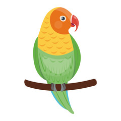 Cartoon parrot wild animal bird. Tropical parrot feather zoo bird, tropical fauna macaw flying ara. Cartoon exotic bird vector illustration.