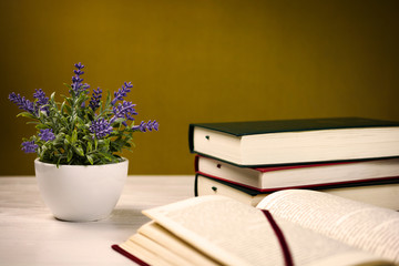 Stack of books on the table and a lavender plant