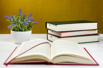 Stack of books on the table and a lavender plant