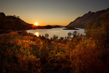 Sun setting behind fjord in Norway with vegetation in foreground © csimages