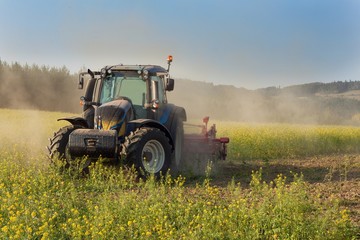 Fototapeta premium Blue tractor in a field of mustard in the Czech Republic. Dusty field and agricultural work. Autumn farm chores. The tractor mows mustard on a sunny day. Farmer working in the field. 