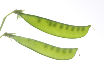 サヤエンドウ