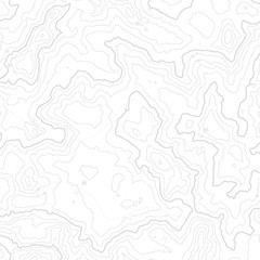 Fototapeta premium Topographic map background concept with space for your copy. Topography lines art contour , mountain hiking trail , Shape vector design. Computer generated .