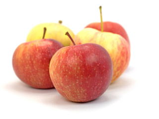 Äpfel, Malus, Früchte, Apples