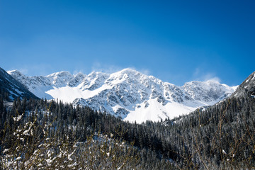 Fototapeta na wymiar Western carpathian, Tatry mountains in winter