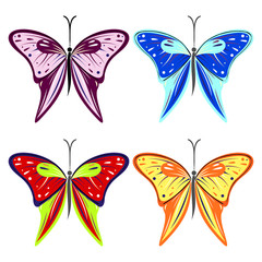 Obraz na płótnie Canvas Set of vector illustration of insect, colorful butterflies, isolated on the white background. Graphic illustration