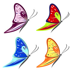 Set of vector illustration of insect, colorful butterflies, isolated on the white background. Graphic illustration