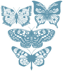 Fototapeta na wymiar vector set of isolated hand-drawn butterflies