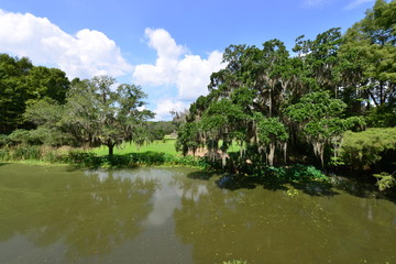 Fototapeta na wymiar A lake at a Botanical gardens in Swampland in Louisiana.