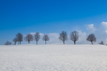 Winter landscape in sunny day