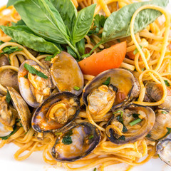 Pasta with Clam Dinner Dish on a the table