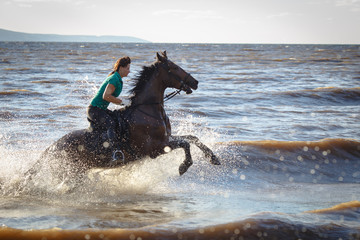 Pretty girl riding horse in river water