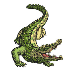 Obraz premium Ethnic ornamented alligator or crocodile. Hand drawn vector illustration with decorative elements