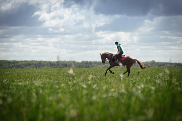 Young woman riding a horse on the green field