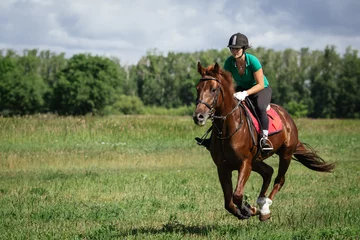 Foto op Plexiglas Young woman riding a horse on the green field © barbiturat