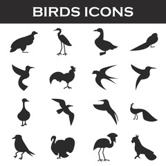 Obraz premium birds icons set
