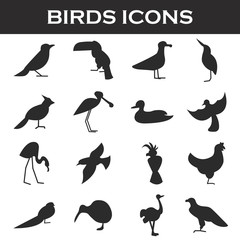 birds icons set