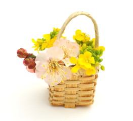 春の花籠