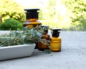 Wermut, Artemisia absinthium , Heilpflanze, Naturheilkunde