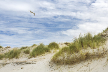 Sandstrand Ruhe am Meer 