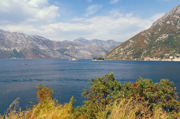 Fototapeta na wymiar Coast of the Bay of Kotor. Montenegro