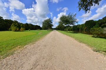 A garden road going through woodland at a swamp in Louisiana.