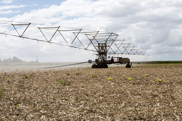 Close up view of a large overhead spray irrigator in operation on sugar cane stubble, Atherton Tableland, North Queensland.