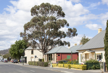 Tasmanian Town