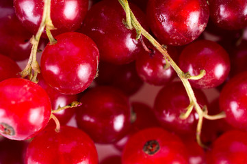 Currant berries background, close-up