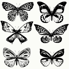Fototapeta na wymiar Collection of vector realistic butterflies in vintage style