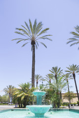 Fototapeta premium ロサンゼルス