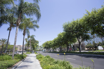 Fototapeta premium アナハイムの街並み