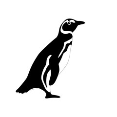 Penguin vector illustration isolated Flat Style