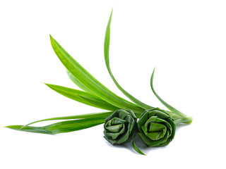 Obraz premium Fresh Pandan leaves isolated on white background