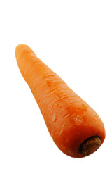 Carrot  isolated on white background