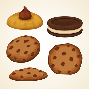 Vector cookies collection