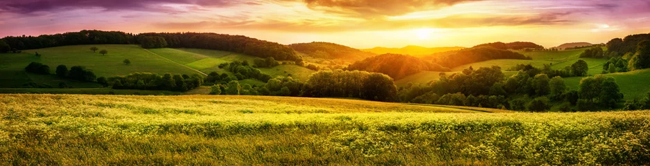 Vlies Fototapete Panoramafotos Blühende Wiese bei Sonnenuntergang, ein Panorama mit stimmungsvollen Farben