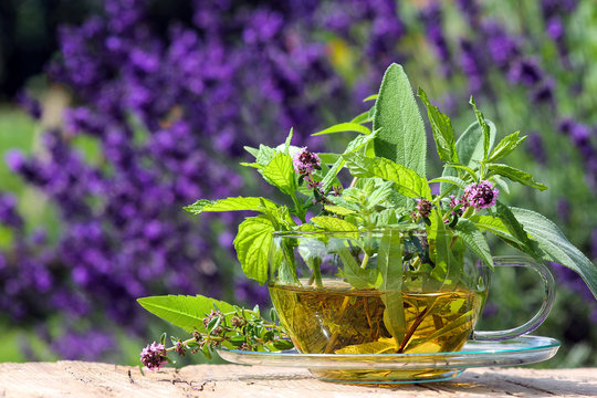 Frischer Kr&auml;utertee aus dem Garten
