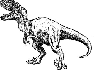 T rex Dinosaur. dinosaur drawing pencil sketch. 
