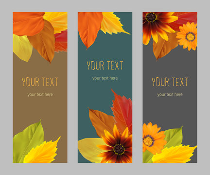 Set of vertical banners with yellow, orange, red autumn leaves, fall colors on a dark background, template, vector illustration