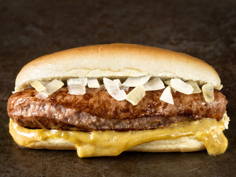 rustic american hot dog with mustard and onion