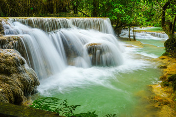 Fototapeta na wymiar Kuang Si WaterFalls / Kuang Si waterfalls, the most famous waterfalls in Lao.