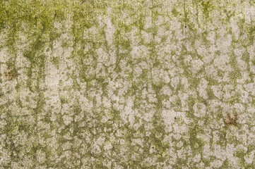 Concrete floor with interesting textured pattern