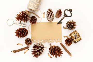 Top view of pine cones and blank card