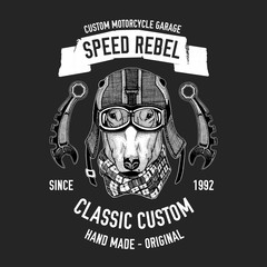 Biker quote with dog for garage, service, t-shirt, spare parts Vector image