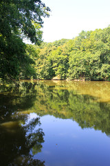Fototapeta premium Lake in forest