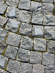 Granite cobblestoned pavement texture
